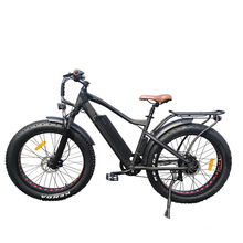 New Design Best Seller Fat Tyre Ebike Mountain Bicycle